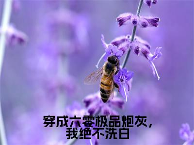 何瑞雪完结版小说穿成六零极品炮灰，我绝不洗白全文在线免费阅读_穿成六零极品炮灰，我绝不洗白最新章节列表_笔趣阁