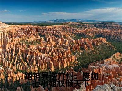 《踏神界逆九州：废物七小姐权倾天下》苏觅姜落（大结局小说全集完整版）苏觅姜落小说_踏神界逆九州：废物七小姐权倾天下全文阅读笔趣阁