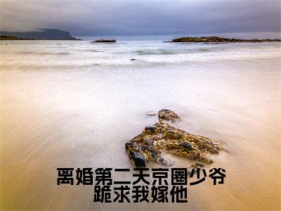 沈甜甜顾墨迟（离婚第二天京圈少爷跪求我嫁他）全文免费阅读无弹窗大结局_离婚第二天京圈少爷跪求我嫁他小说在线阅读无删减