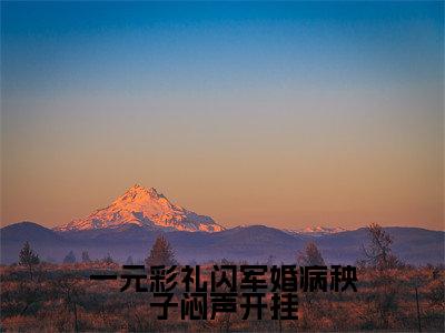 （一元彩礼闪军婚病秧子闷声开挂小说免费阅读）周斯年乔云雀全文免费阅读无弹窗大结局-一元彩礼闪军婚病秧子闷声开挂全文免费版阅读