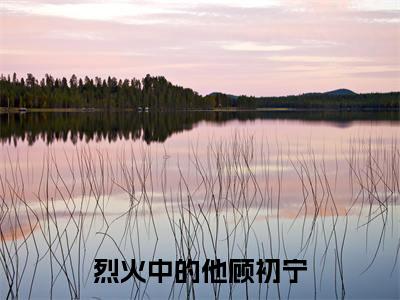 烈火中的他顾初宁全文最新章节(闻修烨顾初宁)全文免费阅读无弹窗大结局_闻修烨顾初宁免费阅读