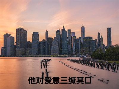 顾明安林昭(他对爱意三缄其口)全文免费阅读无弹窗大结局_(顾明安林昭)他对爱意三缄其口章节列表
