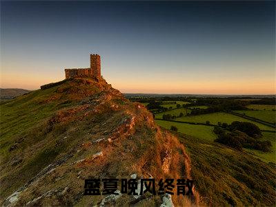盛夏晚风终散(傅珉轩林晚音)全文小说在线阅读-盛夏晚风终散全章节最新阅读