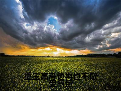 重生高考他再也不做受气包小说最新章节（林瑾年顾若清）全文免费阅读无弹窗大结局_林瑾年顾若清免费阅读（重生高考他再也不做受气包小说）