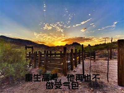 重生高考,他再也不做受气包「精彩小说」无弹窗阅读林瑾年顾若清大结局阅读