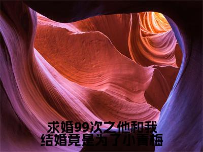 求婚99次之他和我结婚竟是为了小青梅(周逸鸣)全文免费阅读无弹窗大结局_求婚99次之他和我结婚竟是为了小青梅小说免费最新章节列表_笔趣阁