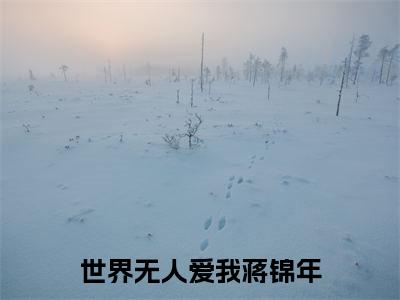 世界无人爱我蒋锦年美文欣赏完整版,沈初禾蒋锦年精彩章节在线阅读