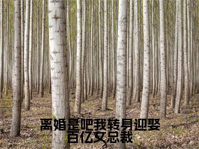 楚煊(离婚是吧我转身迎娶百亿女总裁)全文在线免费阅读无弹窗_楚煊最新章节列表_笔趣阁