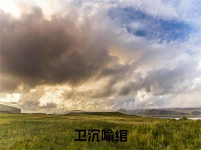 卫沉喻绾新书热荐免费小说喻绾卫沉全文完整版-喻绾卫沉小说全文无删减版免费阅读