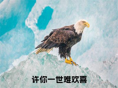 许千一（许你一世难欢喜）全文免费许千一读无弹窗大结局_许你一世难欢喜免费许千一读全文最新章节列表_笔趣阁