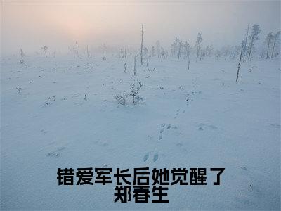 错爱军长后她觉醒了郑春生(陆倚梅郑春生)免费阅读-小说(错爱军长后她觉醒了郑春生)陆倚梅郑春生全文阅读
