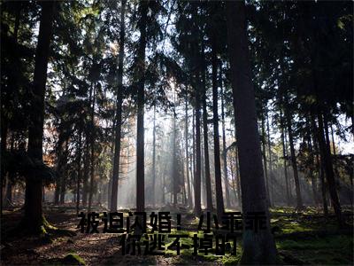 盛夏墨寒霆(被迫闪婚!小乖乖,你逃不掉的)全文在线阅读无弹窗大结局_被迫闪婚!小乖乖,你逃不掉的全文无弹窗最新章节列表