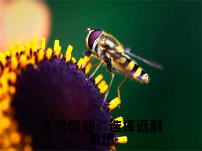 陈易在哪免费看陈易结局是什么（全民修仙：选择返利系统）小说无弹窗免费阅读