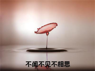 不闻不见不相思(乔清露江澈)小说免费下载全本-不闻不见不相思(乔清露江澈完整版)免费阅读大结局