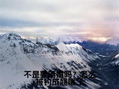 傅斯年许妄不是要离婚吗?怎么被钓成翘嘴了完整全文在线阅读傅斯年许妄全文大结局阅读无弹窗