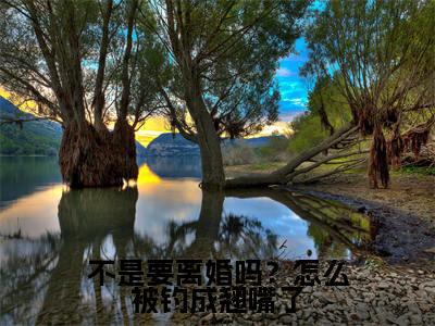 不是要离婚吗？怎么被钓成翘嘴了（许妄傅斯年）全文免费阅读无弹窗_不是要离婚吗？怎么被钓成翘嘴了小说免费阅读_笔趣阁