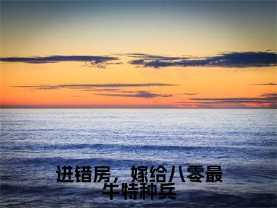 进错房,嫁给八零最牛特种兵江肆年林晚夏完整版最新小说大结局,进错房,嫁给八零最牛特种兵免费完结版