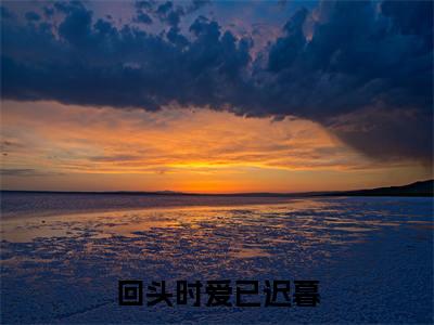 回头时爱已迟暮热门推荐小说(陈南初姜也)精彩章节阅读-回头时爱已迟暮全文免费在线阅读_笔趣阁