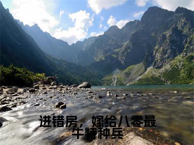 进错房,嫁给八零最牛特种兵(江肆年林晚夏)小说全文免费阅读_进错房,嫁给八零最牛特种兵最新章节小说免费阅读_笔趣阁江肆年林晚夏
