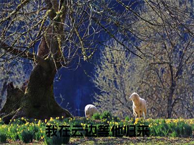 我在云边等他归来小说全文免费阅读_我在云边等他归来(孟祯沈如宁)最新章节列表在线阅读