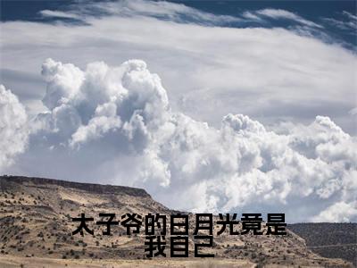 白钰陆成晏的小说主角（太子爷的白月光竟是我自己）免费阅读_太子爷的白月光竟是我自己热搜小说完结版阅读