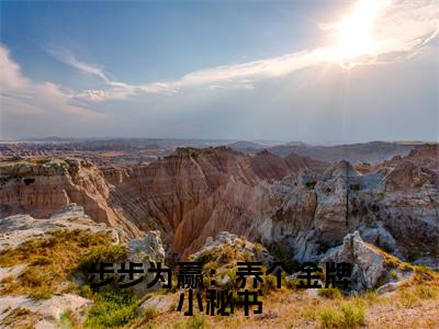 姜早纪斯铭免费小说,步步为赢:养个金牌小秘书全文免费阅读无弹窗大结局