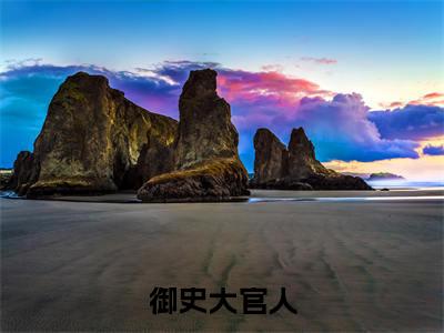 御史大官人(徐安)小说免费下载全本-御史大官人(徐安完整版)免费阅读无弹窗