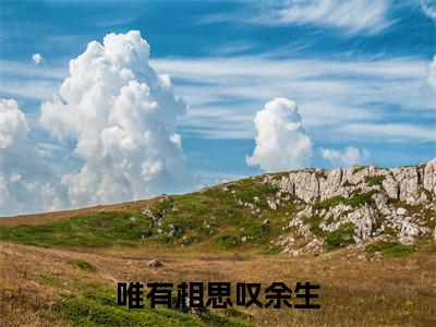 程沁沈肆小说在线阅读全文无弹窗大结局_唯有相思叹余生小说免费最新章节列表（全文）+（后续）