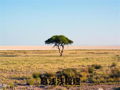 慕浅浅程煜全文小说（程煜慕浅浅）全文阅读-慕浅浅程煜在线小说免费阅读
