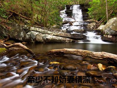 帝少不知娇妻情深（顾念帝长川）在哪免费看-帝少不知娇妻情深小说（顾念帝长川）全文完整版免费阅读