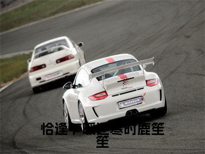 宋听澜鹿笙笙小说免费阅读全文(宋听澜鹿笙笙)全文免费阅读无弹窗大结局_恰逢乍暖还寒时鹿笙笙最新章节列表