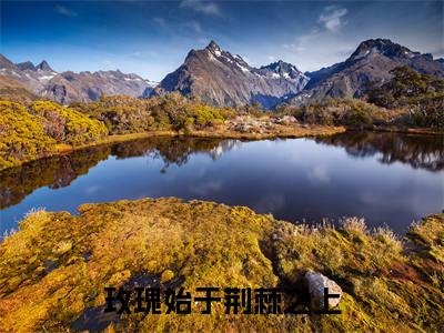 玫瑰始于荆棘之上的小说全文免费阅读无弹窗，何南知江念念的小说在线免费阅读大结局（何南知江念念）