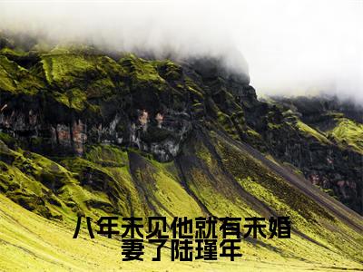 八年未见他就有未婚妻了陆瑾年（简夏陆瑾年）全文免费阅读最新章节_八年未见他就有未婚妻了陆瑾年大结局精彩阅读_笔趣阁（简夏陆瑾年）