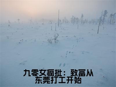 九零女疯批:致富从东莞打工开始(安小五邵平安)最新章节在线阅读-老书虫推荐九零女疯批:致富从东莞打工开始小说