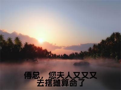 傅总，您夫人又又又去摆摊算命了小说全文-傅总，您夫人又又又去摆摊算命了（林溪傅京尧）最新章节免费阅读