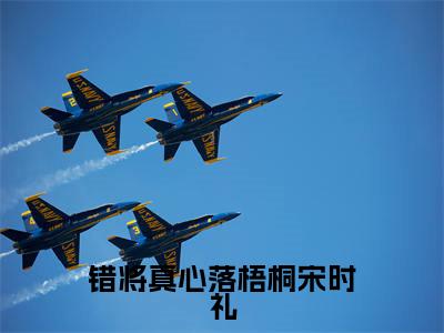 宋时礼小说(错将真心落梧桐宋时礼)全文免费阅读无弹窗大结局_宋时礼(错将真心落梧桐宋时礼)最新章节列表