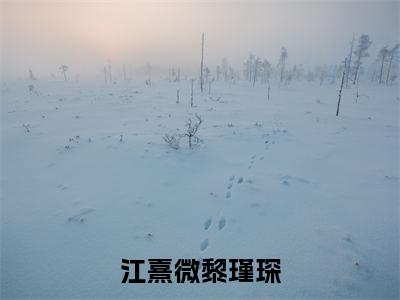 江熹微黎瑾琛（江熹微黎瑾琛）全文免费江熹微黎瑾琛读无弹窗大结局_江熹微黎瑾琛免费江熹微黎瑾琛读最新章节列表_笔趣阁