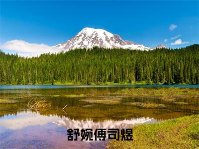 舒婉傅司煜小说全文免费阅读-傅司煜舒婉小说最新章节列表