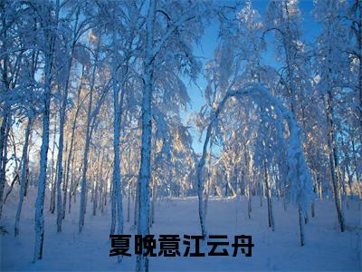 （江云舟夏晚意）夏晚意江云舟小说全文免费_（江云舟夏晚意）最新章节列表笔趣阁