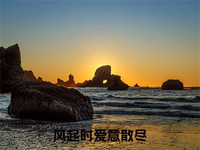 风起时爱意散尽(秦臻林青风)全文免费阅读-(秦臻林青风小说)风起时爱意散尽最新章节列表