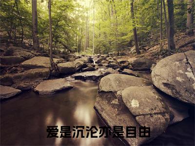 爱是沉沦亦是自由全文免费阅读在线阅读许卿音傅景深全文免费阅读最新章节列表_笔趣阁