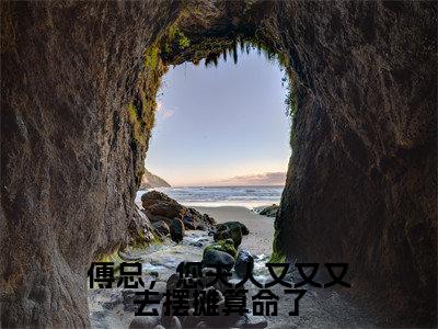 傅总,您夫人又又又去摆摊算命了(林溪傅京尧)全文免费阅读无弹窗大结局_傅总,您夫人又又又去摆摊算命了最新章节列表(林溪傅京尧)