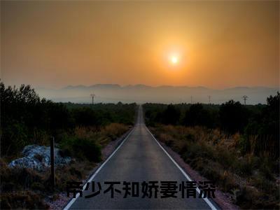 帝少不知娇妻情深小说限时免费，顾念帝长川完结版小说阅读无弹窗_笔趣阁