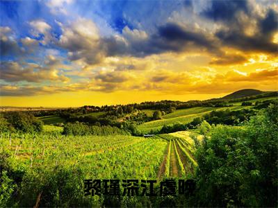 江虞晚黎瑾深黎瑾深江虞晚最新章节小说推荐阅读-新书黎瑾深江虞晚大结局