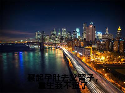 【全文】《阿商谢珩》小说txt在线阅读_（阿商谢珩全章节）-阿商谢珩_藏起孕肚去父留子，重生我不追了在线阅读