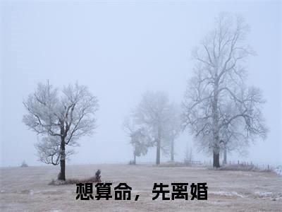 （番外）+（全文）想算命，先离婚（宋觅司祁承）精彩小说-小说宋觅司祁承全文无删减版免费阅读