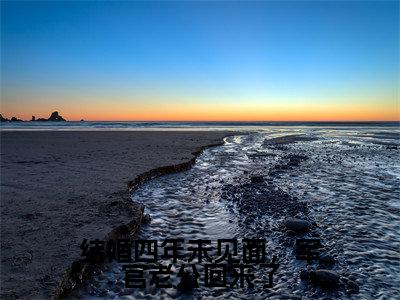 陆惊蛰夏青柠（结婚四年未见面，军官老公回来了）小说全文免费阅读-陆惊蛰夏青柠免费阅读完整版