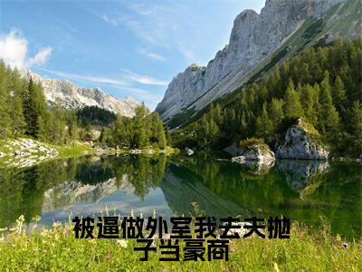被逼做外室我去夫抛子当豪商（叶惜）全文免费阅读无弹窗大结局_被逼做外室我去夫抛子当豪商最新章节列表