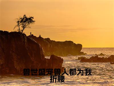 小说尹芷沫（兽世盛宠兽人都为我折腰小说免费阅读）完结阅读，尹芷沫在线阅读