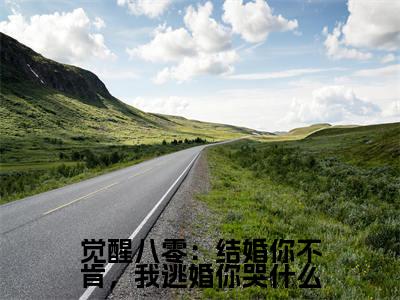 觉醒八零：结婚你不肯，我逃婚你哭什么全文（梁婉秋）全文免费阅读无弹窗大结局_（梁婉秋）觉醒八零：结婚你不肯，我逃婚你哭什么最新章节列表